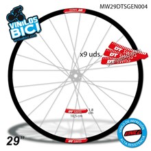 DT Swiss 29" Vinilos