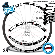 Sram Rise 60 29" vinilos