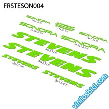 Stevens Sonora Vinilos para cuadro