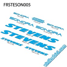 Stevens Sonora Vinilos para cuadro