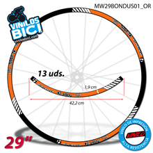 Bontrager Duster vinilos adhesivos llanta 29"