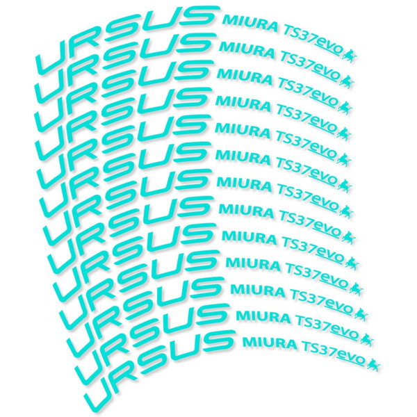 Ursus Miura Ts37 Evo Disc Pegatinas en vinilo adhesivo Llanta Carretera (1)