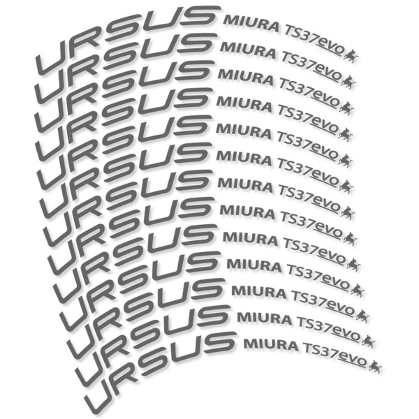 Ursus Miura Ts37 Evo Disc Pegatinas en vinilo adhesivo Llanta Carretera (7)
