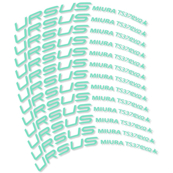 Ursus Miura Ts37 Evo Disc Pegatinas en vinilo adhesivo Llanta Carretera (9)
