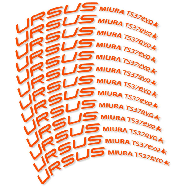 Ursus Miura Ts37 Evo Disc Pegatinas en vinilo adhesivo Llanta Carretera (10)