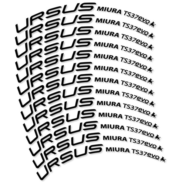 Ursus Miura Ts37 Evo Disc Pegatinas en vinilo adhesivo Llanta Carretera (12)