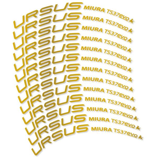 Ursus Miura Ts37 Evo Disc Pegatinas en vinilo adhesivo Llanta Carretera (13)