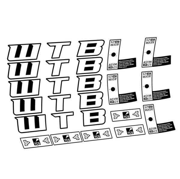 WTB ASYM i23 Pegatinas en vinilo adhesivo Llanta MTB (6)