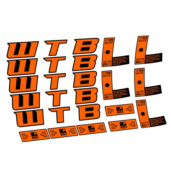 WTB ASYM i23 Pegatinas en vinilo adhesivo Llanta MTB (11)