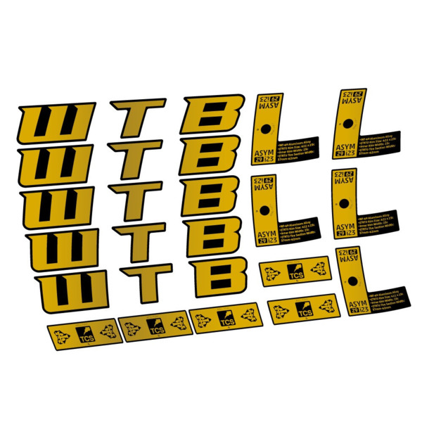 WTB ASYM i23 Pegatinas en vinilo adhesivo Llanta MTB (13)