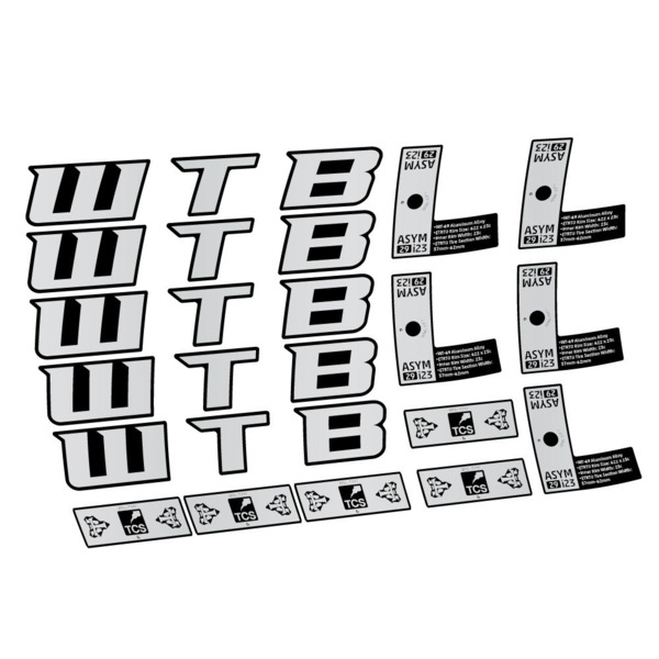WTB ASYM i23 Pegatinas en vinilo adhesivo Llanta MTB (15)