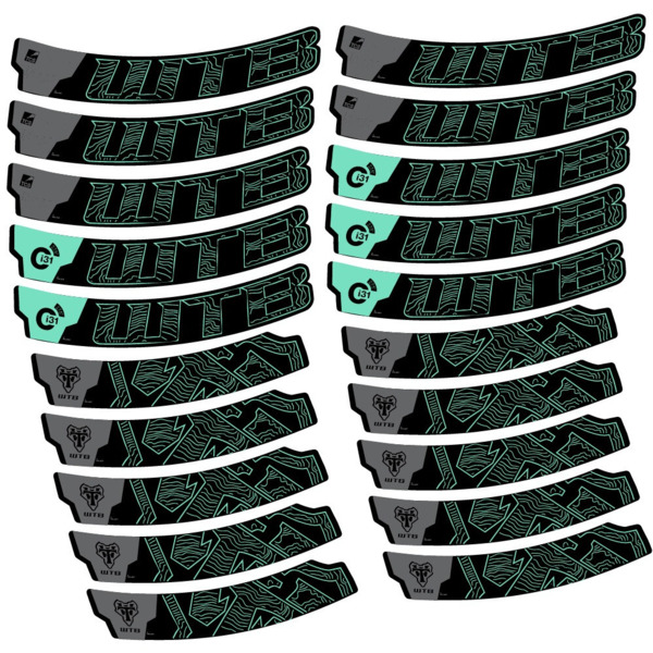 WTB Ci31 Carbon Pegatinas en vinilo adhesivo Llanta MTB (9)