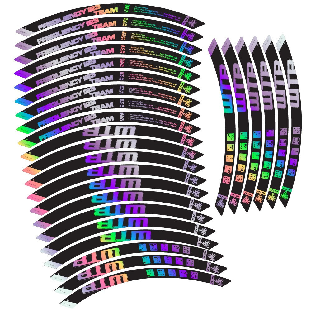 WTB Frequency i23 Team Pegatinas en vinilo adhesivo Llanta MTB (8)
