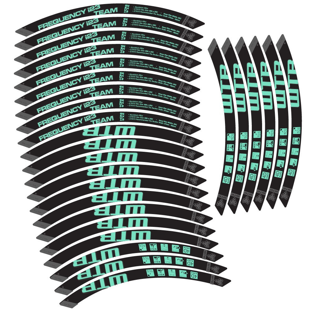 WTB Frequency i23 Team Pegatinas en vinilo adhesivo Llanta MTB (9)
