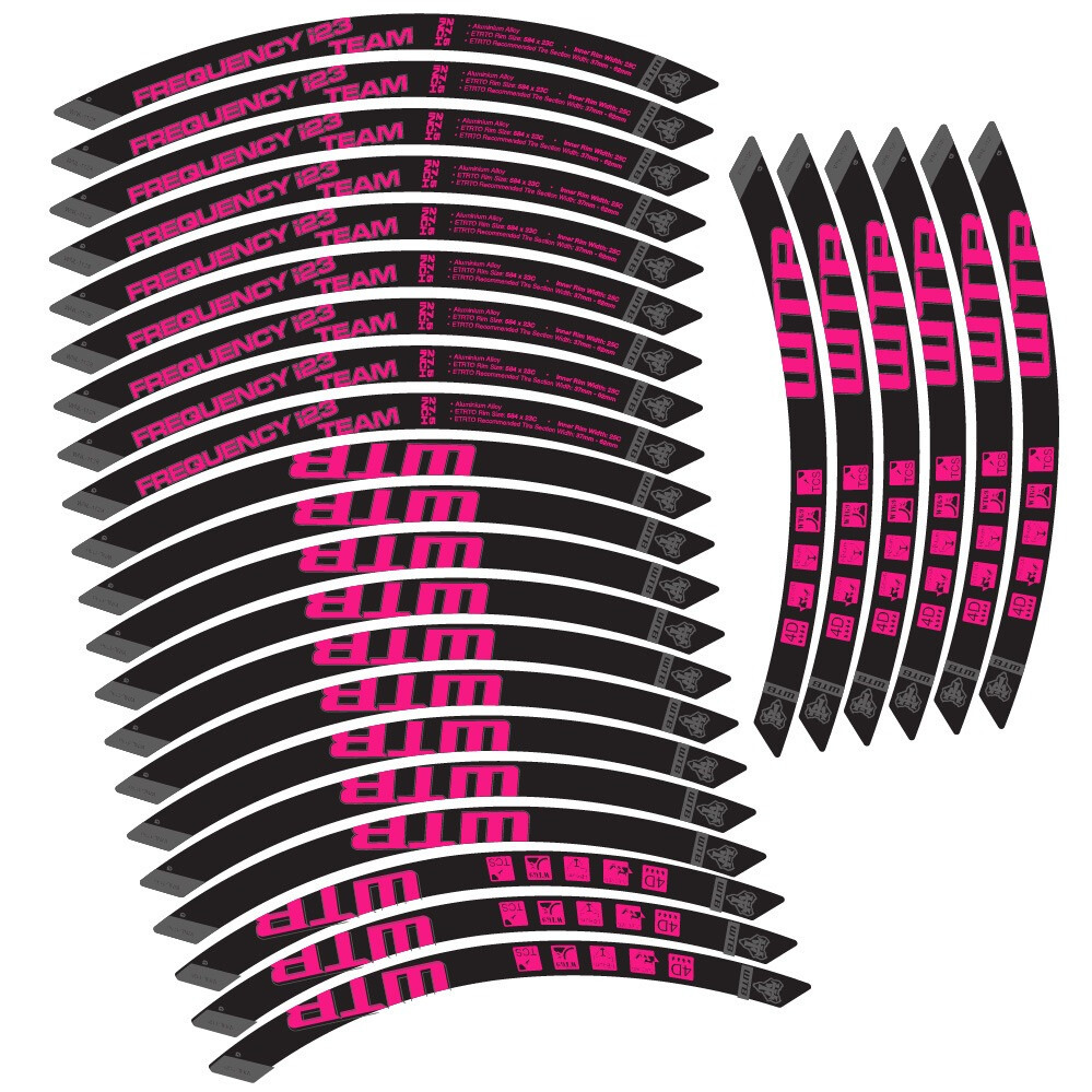 WTB Frequency i23 Team Pegatinas en vinilo adhesivo Llanta MTB (21)