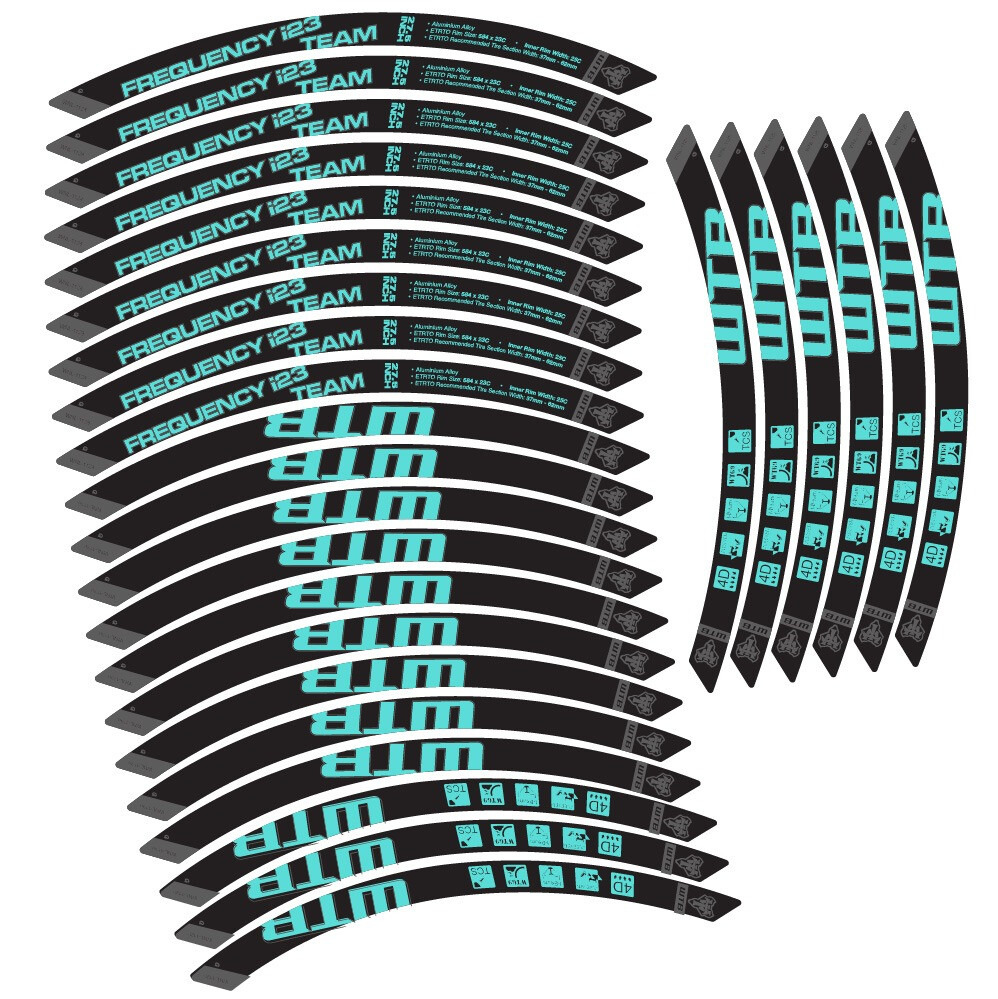WTB Frequency i23 Team Pegatinas en vinilo adhesivo Llanta MTB (22)