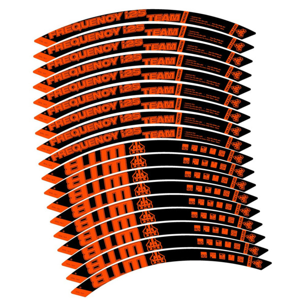WTB Frequency i25 Team Pegatinas en vinilo adhesivo Llanta MTB (10)