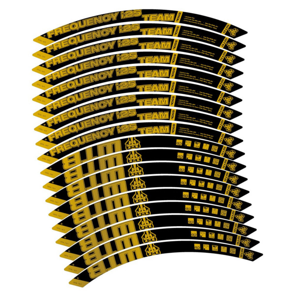 WTB Frequency i25 Team Pegatinas en vinilo adhesivo Llanta MTB (13)
