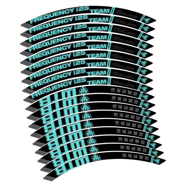WTB Frequency i25 Team Pegatinas en vinilo adhesivo Llanta MTB (22)