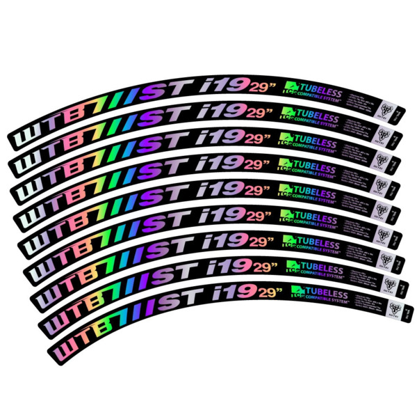 WTB ST i19 Pegatinas en vinilo adhesivo Llanta MTB (8)
