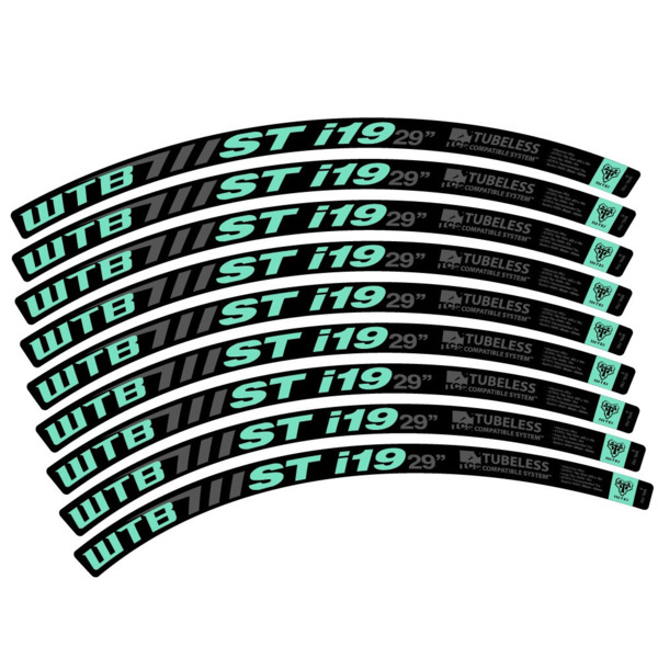 WTB ST i19 Pegatinas en vinilo adhesivo Llanta MTB (9)