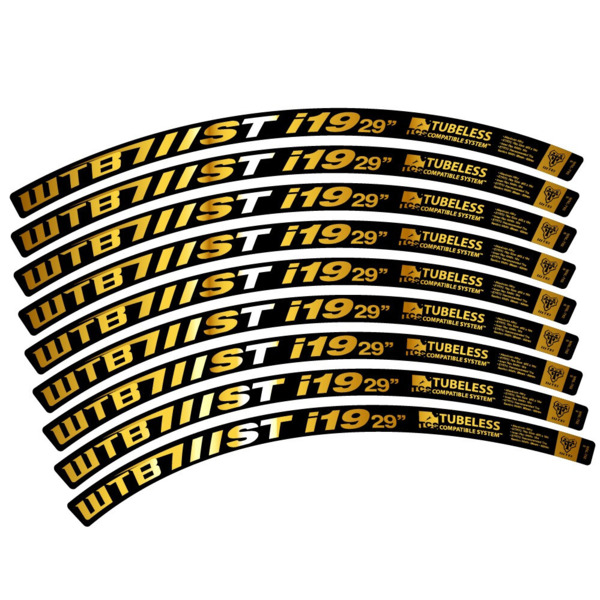 WTB ST i19 Pegatinas en vinilo adhesivo Llanta MTB (14)