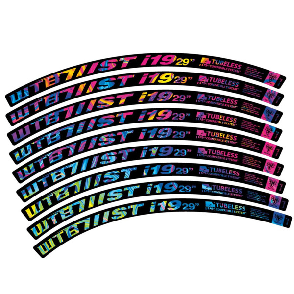 WTB ST i19 Pegatinas en vinilo adhesivo Llanta MTB (17)
