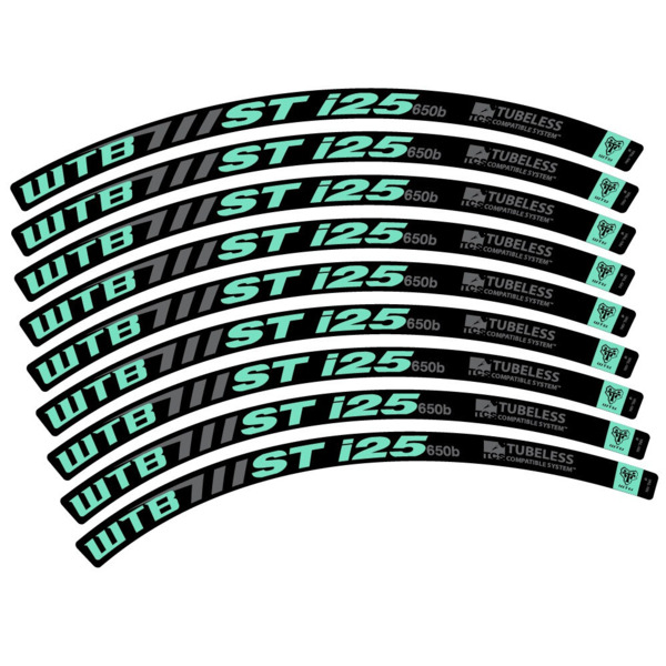 WTB ST i25 Pegatinas en vinilo adhesivo Llanta MTB (9)