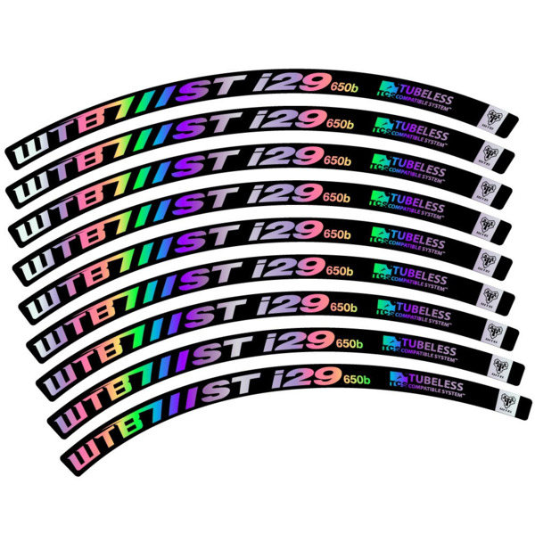 WTB ST i29 Pegatinas en vinilo adhesivo Llanta MTB (8)