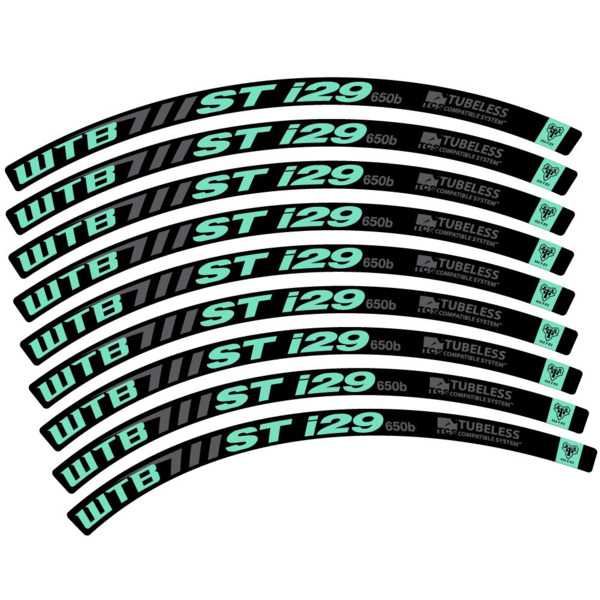 WTB ST i29 Pegatinas en vinilo adhesivo Llanta MTB (9)