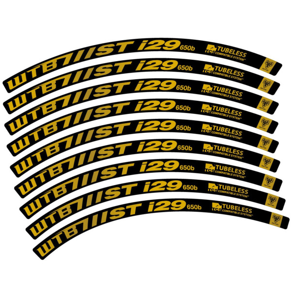 WTB ST i29 Pegatinas en vinilo adhesivo Llanta MTB (13)