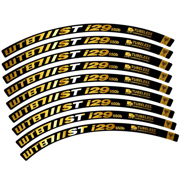 WTB ST i29 Pegatinas en vinilo adhesivo Llanta MTB (14)