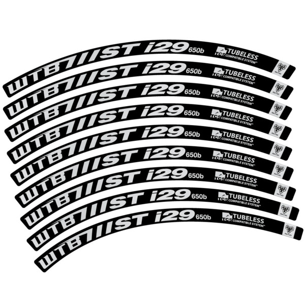 WTB ST i29 Pegatinas en vinilo adhesivo Llanta MTB (15)