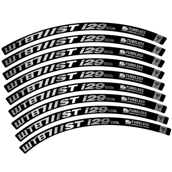 WTB ST i29 Pegatinas en vinilo adhesivo Llanta MTB (16)