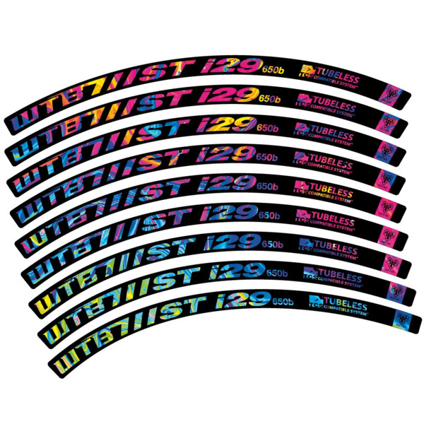 WTB ST i29 Pegatinas en vinilo adhesivo Llanta MTB (17)