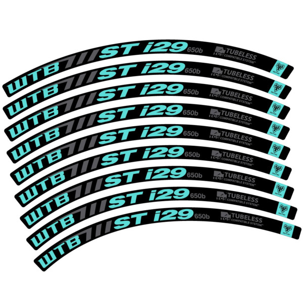 WTB ST i29 Pegatinas en vinilo adhesivo Llanta MTB (22)